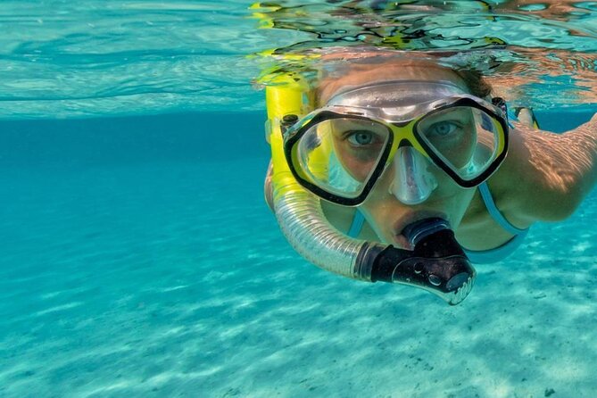 Snorkel Fort Lauderdale Jean Cousteaus Reef and Snorkel Trail - Snorkeling Gear Provided