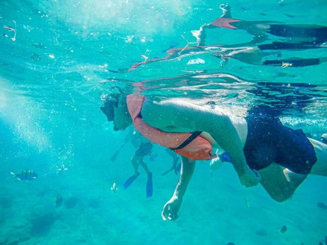 Snorkel Fun and Visit the Famous Arch + Food- Cabos SL - What to Bring
