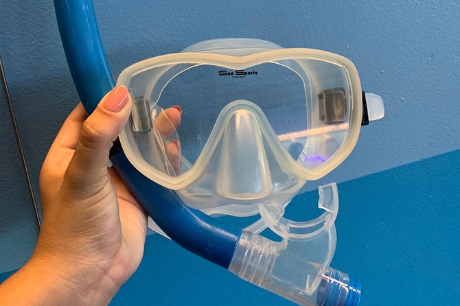 Snorkel Gears Near Hanauma Bay - Reviews and Customer Experiences