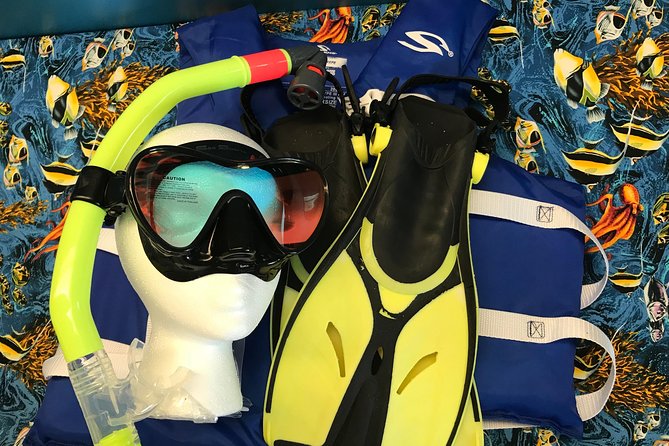 Snorkel Gears Near Hanauma Bay - Pricing and Additional Information