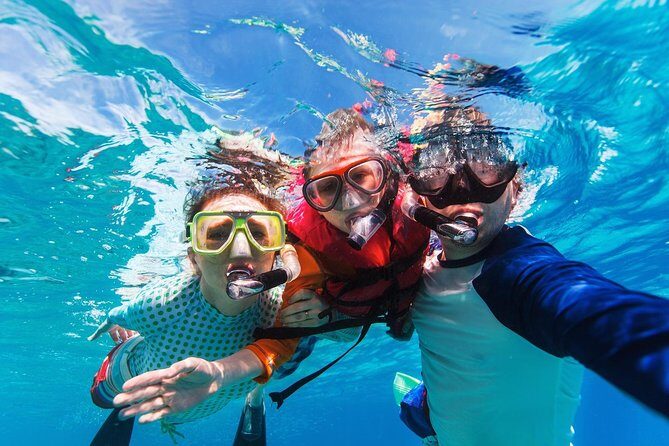 Snorkel in El Cielo Cozumel Reef with Lunch, Beach and Transport - The Value of This Tour