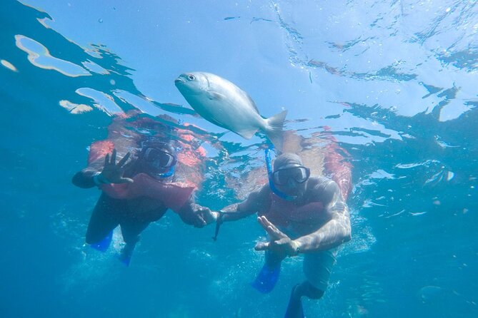 Snorkel in Luxury Sailing Boat Food and Premium Drink! - Cancellation Policy and Refunds
