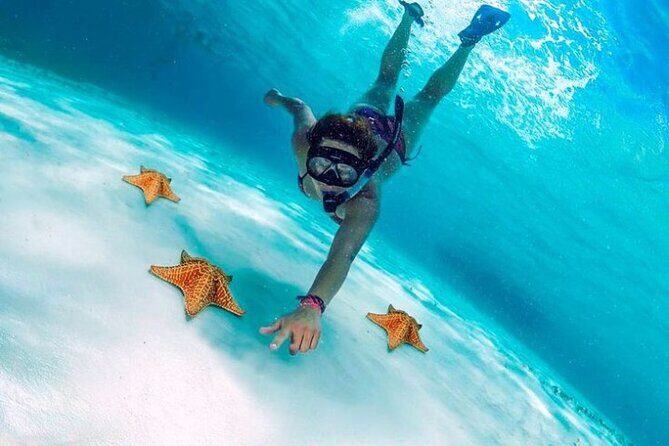 Snorkel in Paradise Cozumel El Cielito Palancar Reef Colombia - The Sum Up: Is This Tour Right for You?