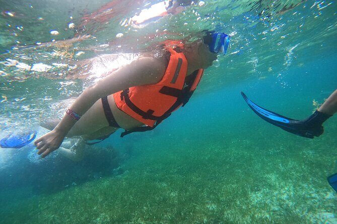 Snorkel in the beautiful reef of Puerto Morelos with transport - Who Might Want More?