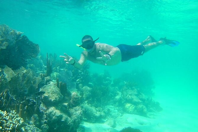 Snorkel in the Costa Maya Reef and Rest on the Beach - Important Considerations