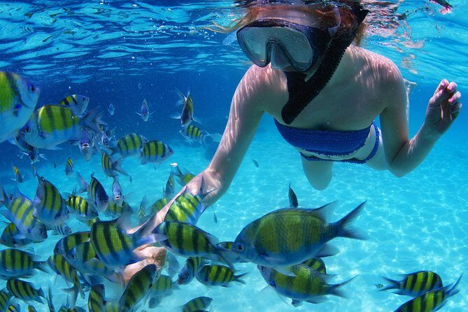 Snorkel in the second largest reef in the world Colorful tour in Puerto Morelos - Real insights from reviewers