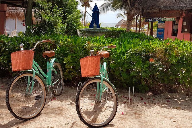 Snorkel in the turquoise Caribbean Sea in Puerto Morelos. Transport included - Final Thoughts: Who should consider this tour?