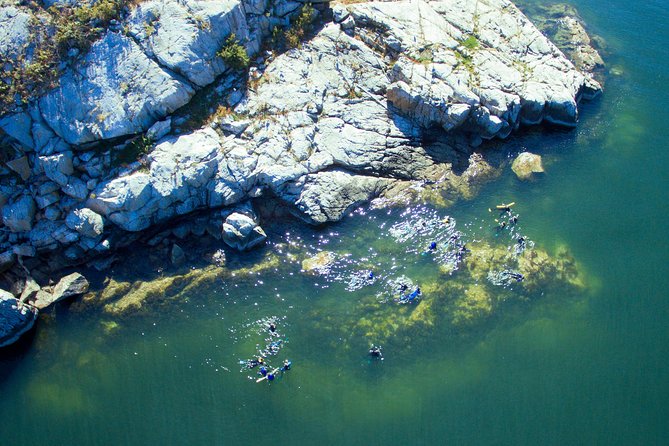 Snorkel, Kayak, and Seal Adventure: Vancouver Boat Tour - Pricing and Booking
