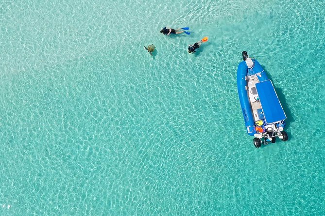 Snorkel, Kayak, and Swim With Whales on Fraser Island - Meeting and Pickup Details