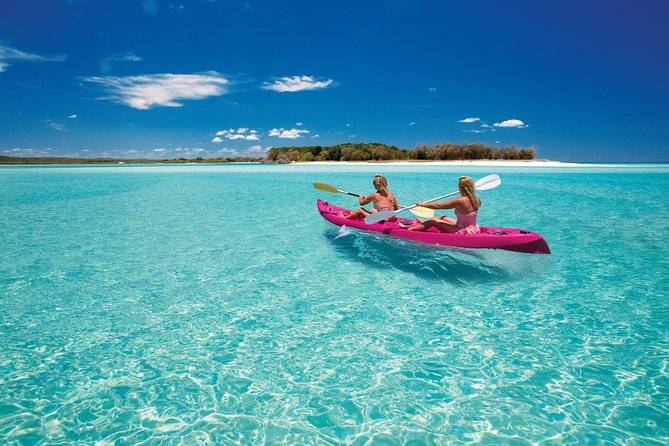 Snorkel, Kayak, and Swim With Whales on Fraser Island - Cancellation Policy and Traveler Reviews