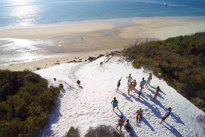 Snorkel, Kayak, and Swim With Whales on Fraser Island - Tour Highlights and Activities