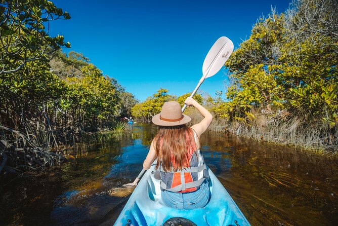 Snorkel, Kayak, and Swim With Whales on Fraser Island - The Sum Up