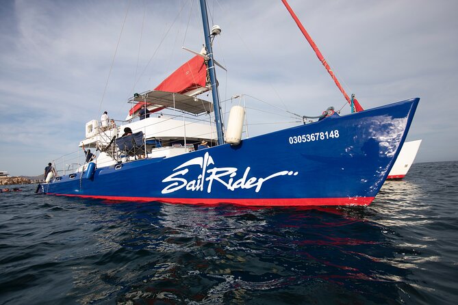 Snorkel, Lunch & Sail in Cabo San Lucas - Overview of Snorkel, Lunch & Sail Experience