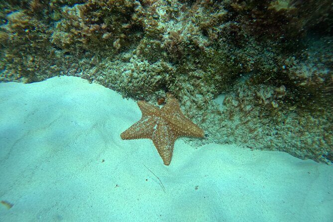 Snorkel Paradise Cancun 5 in 1 For Non Swimmers - FAQs