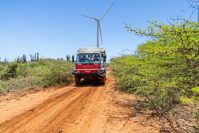 Snorkel Safari Tour - Good To Know