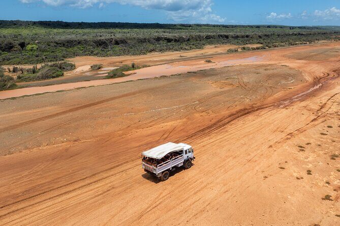 Snorkel Safari Tour - The Sum Up: The Value and Appeal of the Snorkel Safari Tour