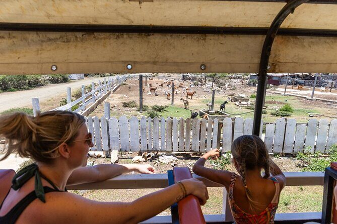 Snorkel Safari Tour - FAQ