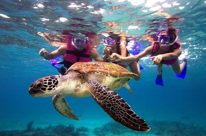 Snorkel, Swim & Snap-w/ Video - The Sum Up