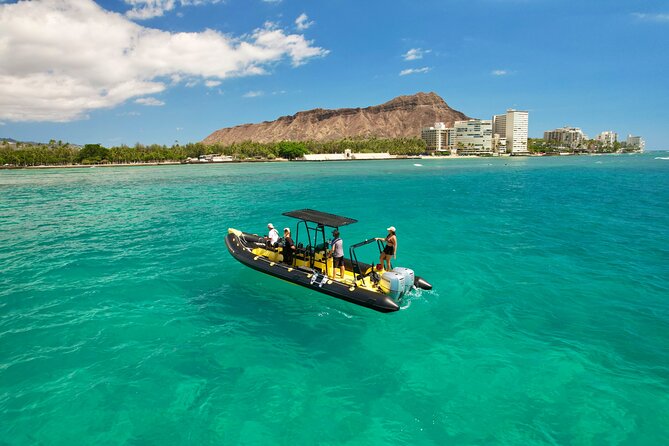 Snorkel & Swim With Turtles! Minutes From Waikiki - Fabulous Turtle Experience