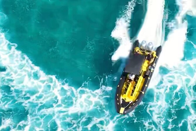 Snorkel & Swim With Turtles! Minutes From Waikiki - Mixed Tour Experiences