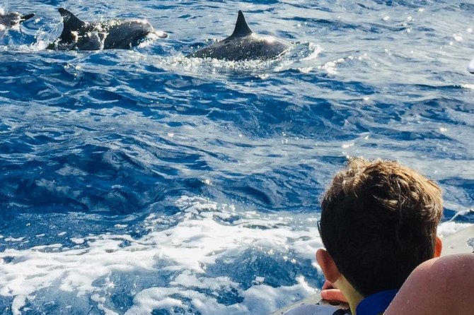 Snorkel & Swim With Turtles! Minutes From Waikiki - Small-Group Tour for Personalized Attention