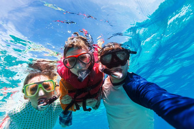 Snorkel & Swim With Turtles. Semi Private Tour to Buck Island & Honeymoon Beach - Additional Information