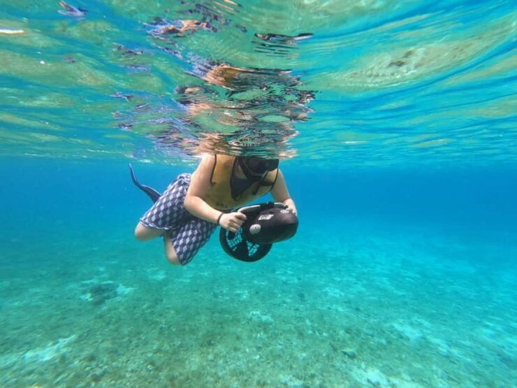 SNORKEL & TEQUILA TASTING - Tequila Tasting Experience