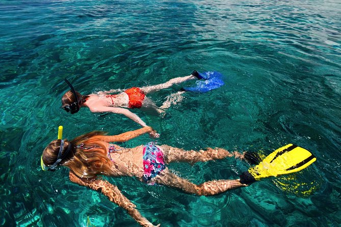 Snorkel the Perfect Tropical Isle Silk Caye With Turtles, Rays and Sharks - Exploring the Marine Reserve