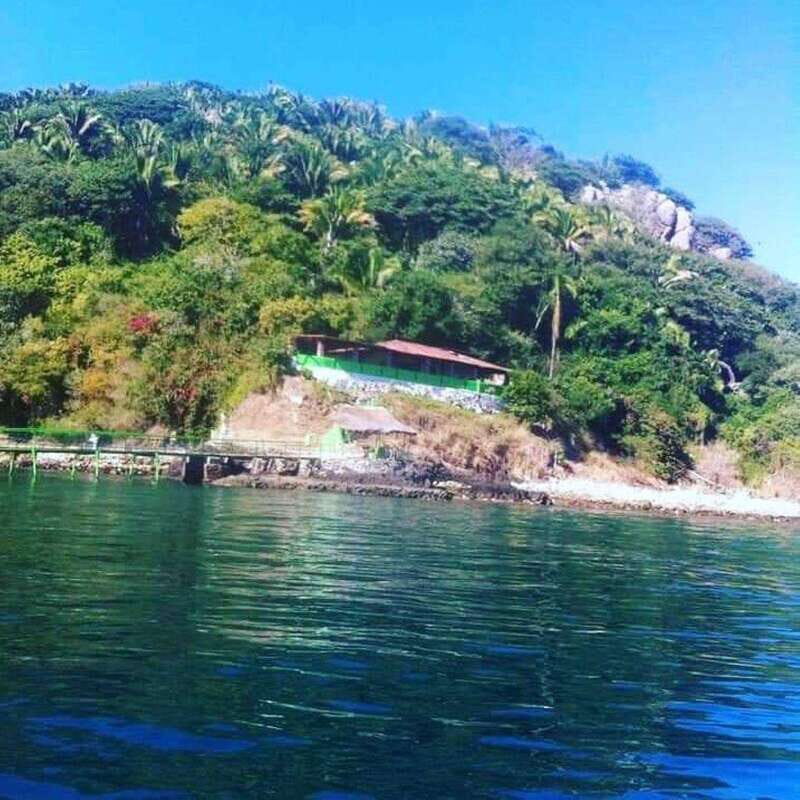 Snorkel to Playa del Toro departing from Sayulita : day at the beach - Who Is This Tour Best For?