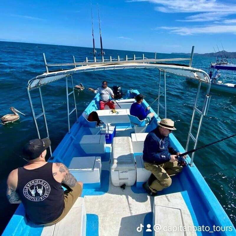 Snorkel to Playa del Toro departing from Sayulita : day at the beach - Frequently Asked Questions