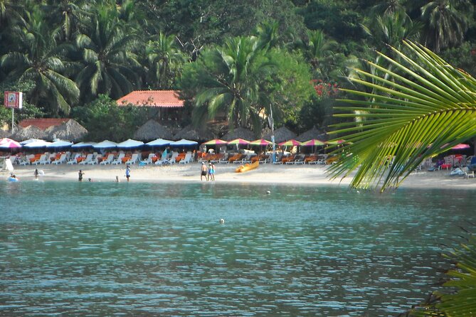 Snorkel Tour in Las Gatas Water Break - Reviews