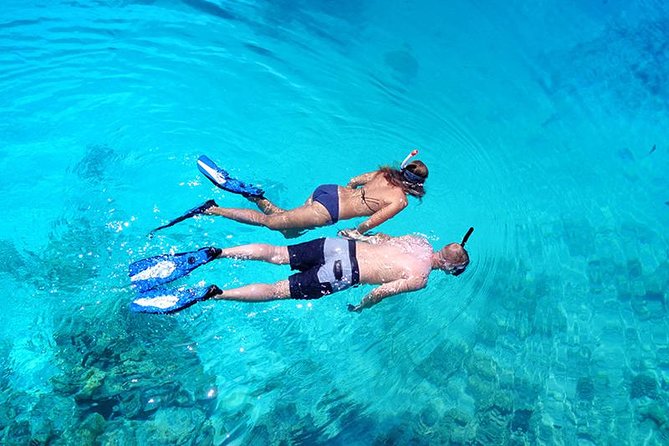 Snorkel Tour - San Jose Del Cabo - Overview and Features