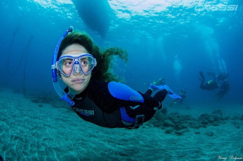 Snorkel Tour Why Not? - Good To Know