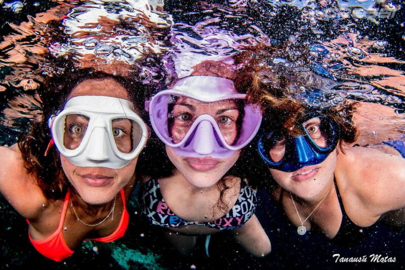Snorkel Tour Why Not? - Safety and Instruction