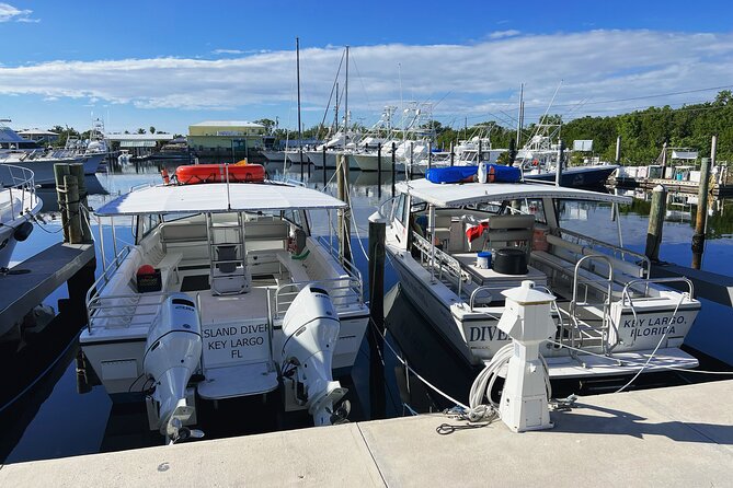 Snorkel Tours of the Key Largo Reef for up to 6 People - Snorkeling Equipment