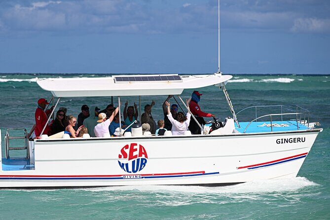 Snorkel trip + natural pool Bávaro - Practical Details and What You Should Know