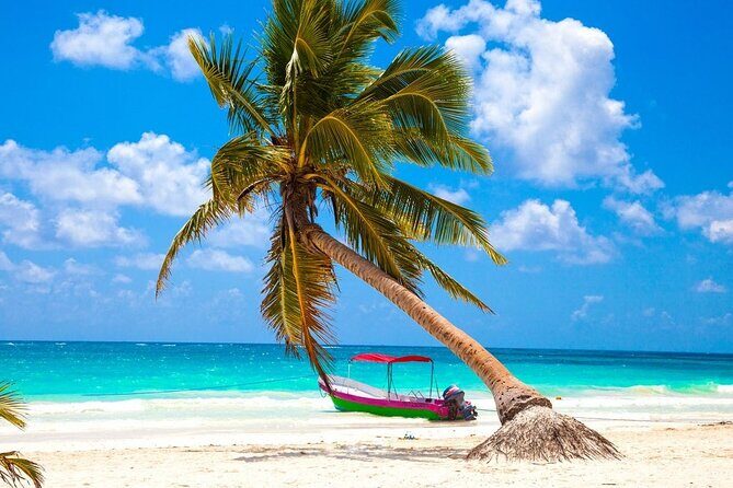 Snorkel Tulum: 2 reef point, 1 hour 20 minutes tour - Introduction to the Snorkel Tulum Experience