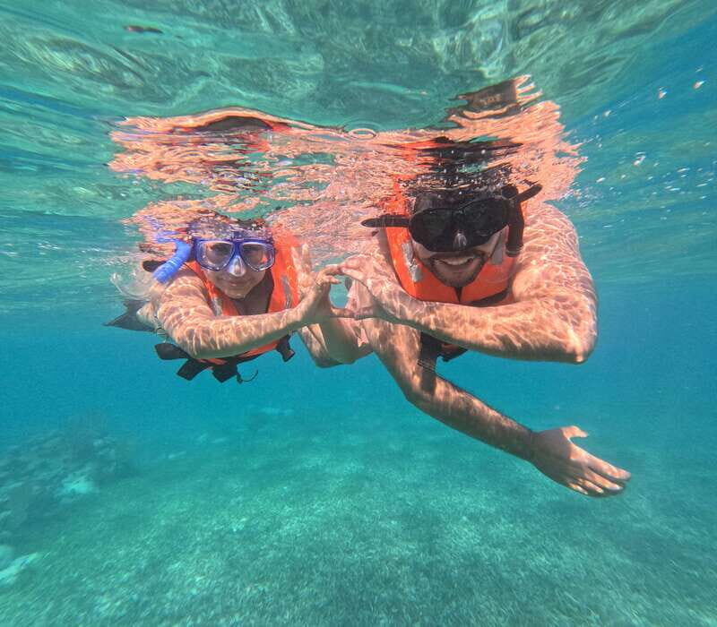 snorkel with tropical fish, reefs, and in search of turtles - Good To Know