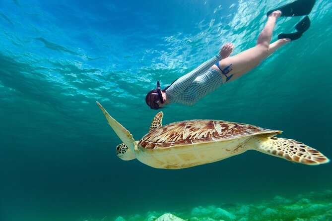 Snorkel With Turtles and Cenotes - Transportation and Snorkeling Equipment