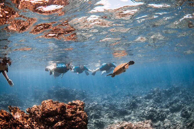 Snorkel with Turtles and Free Underwater Photos Lahaina - Exploring Mauis Underwater Paradise