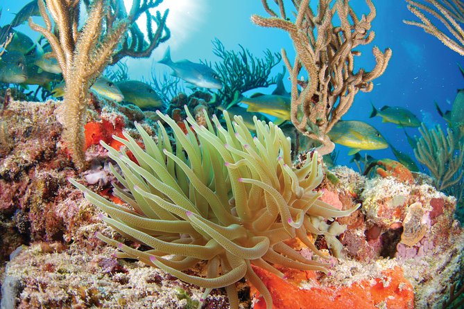 Snorkel Xtreme Cancun - Overview of Snorkel Xtreme Cancun