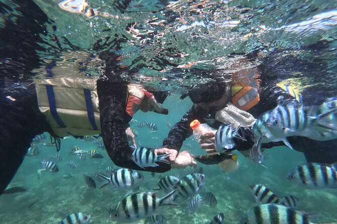 Snorkeling 3 Gili West Lombok Daily Tour (Gili Nanggu, Gili Sudak, Gili Kedis) - Good To Know