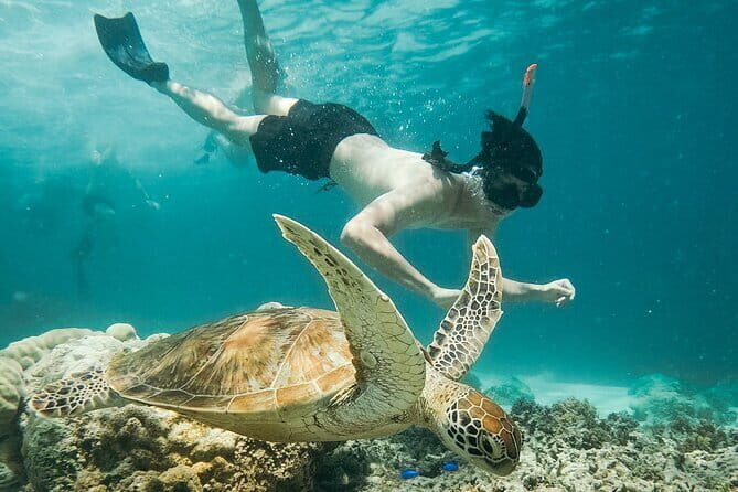 Snorkeling 3 Spots with GoPro & West Coast Tour Nusa Penida - What to Expect on the Tour  