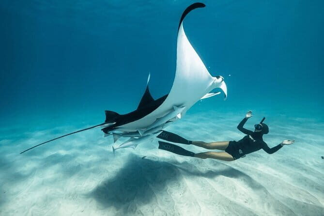 Snorkeling 3 Spots with GoPro & West Coast Tour Nusa Penida - Good To Know