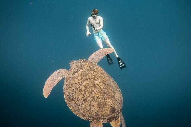 Snorkeling 3 Spots with GoPro & West Coast Tour Nusa Penida - A Closer Look at the Itinerary