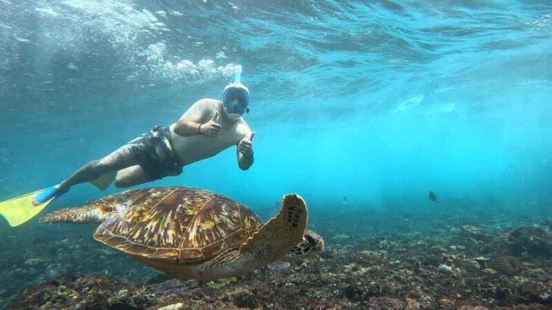 Snorkeling Activities + Western Side Nusa Penida Tour - The Value of This Tour