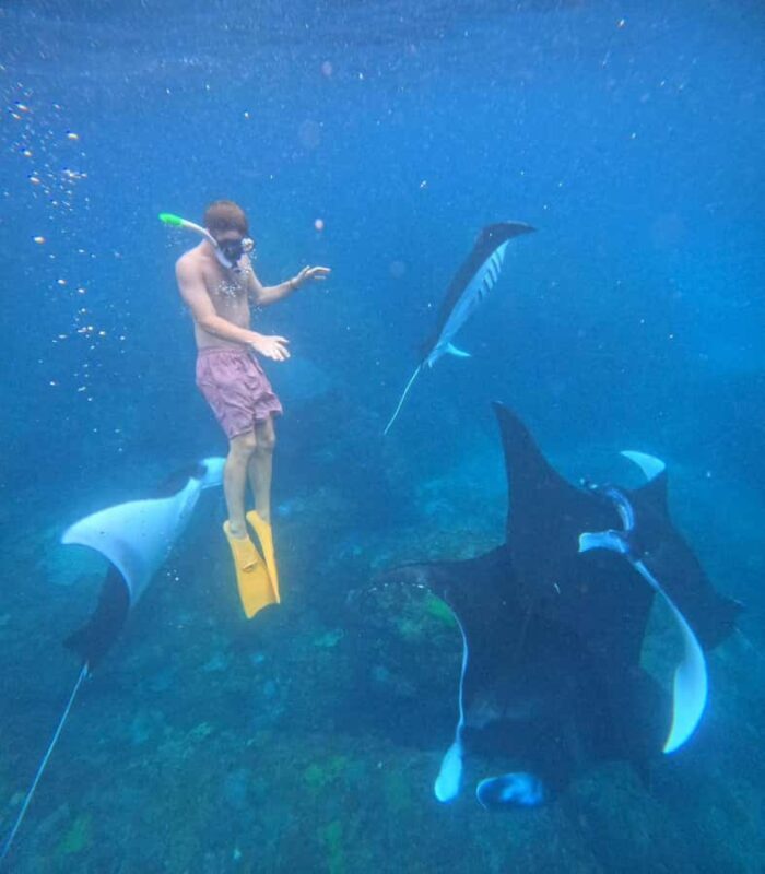 Snorkeling Activities + Western Side Nusa Penida Tour - Good To Know