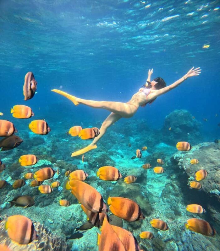 Snorkeling Activities + Western Side Nusa Penida Tour - An In-Depth Look at the Tour Experience