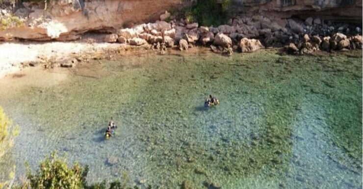 Snorkeling Activity Ametlla De Mar - Good To Know