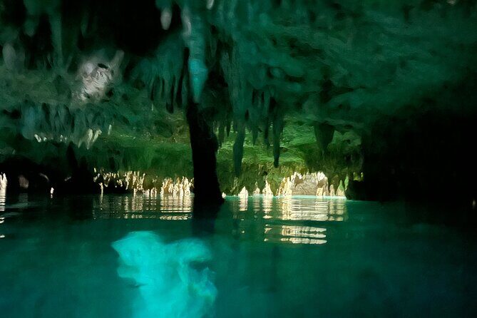 Snorkeling Activity in a Cenote Expedition - The Value: Does It Live Up to the Cost?